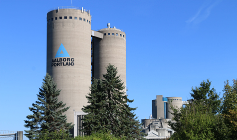 What is the main role of silica components in white cement?
