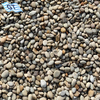 natural beach pebbles size 1"