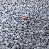 medium sizes of silica pebbles